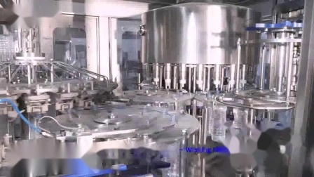 Automatische 500-ml-Haustierflaschen-Abfüllmaschine für reines Mineralwasser